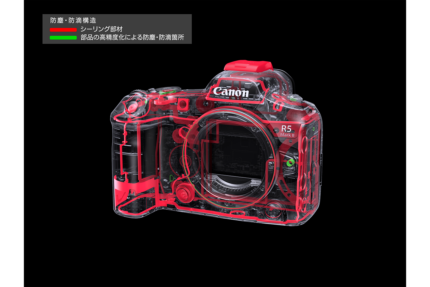 プロ・ハイアマチュア向けフルサイズミラーレスカメラ“EOS R5 Mark II