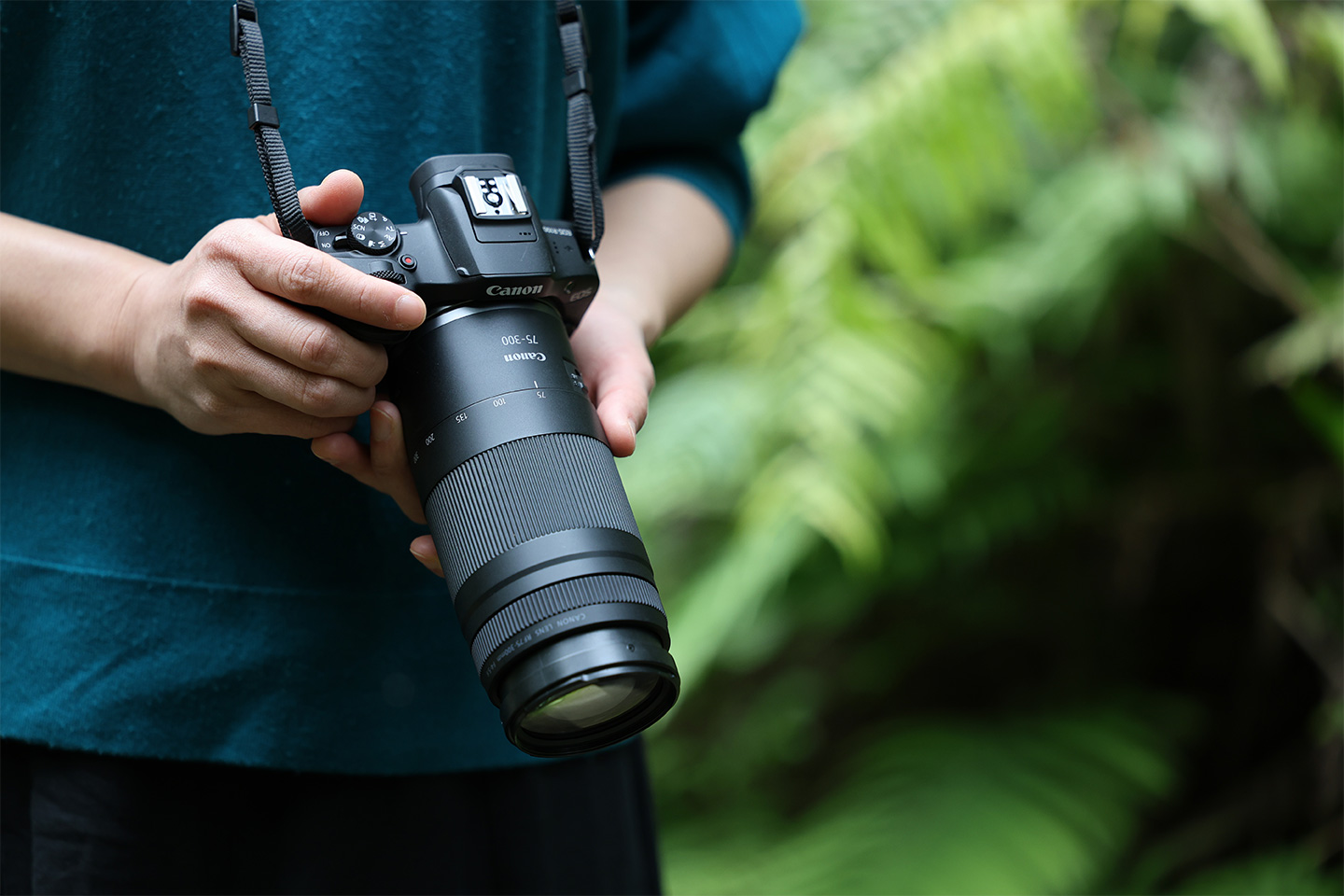 望遠ズームレンズ“RF75-300mm F4-5.6”を発売 携帯性に優れた小型・軽量 