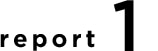 report1