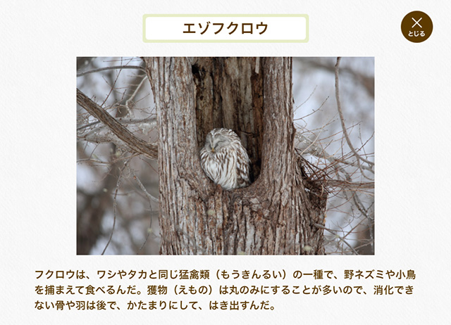 「アニマリウム」の画面例