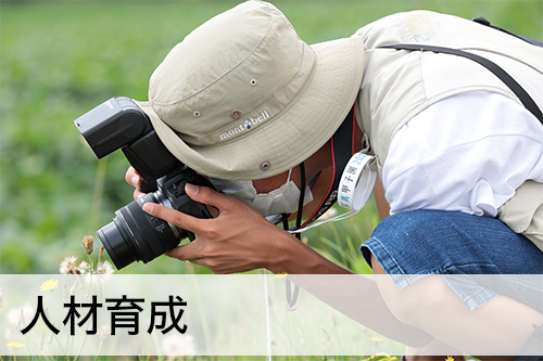人材育成