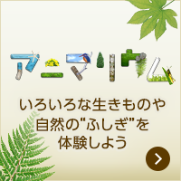アニマリウム いろいろな生きものや自然の”ふしぎ”を体験しよう
