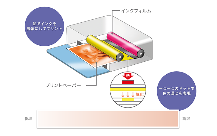 昇華型熱転写方式のイメージ
