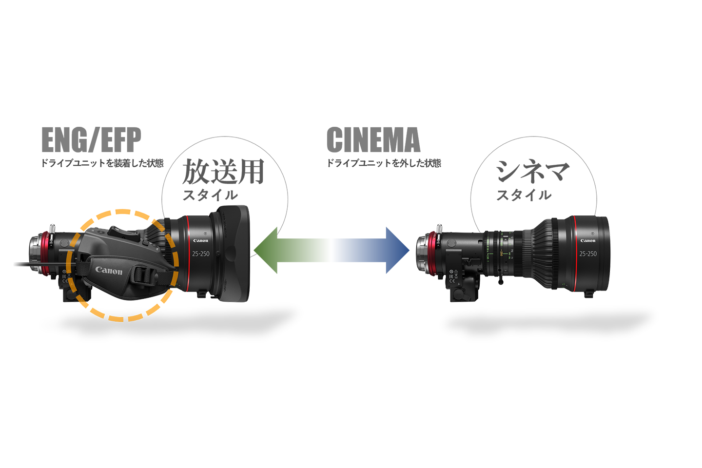 広角から望遠まで汎用性の高い焦点距離を持つ「CINE-SERVOレンズ」の新