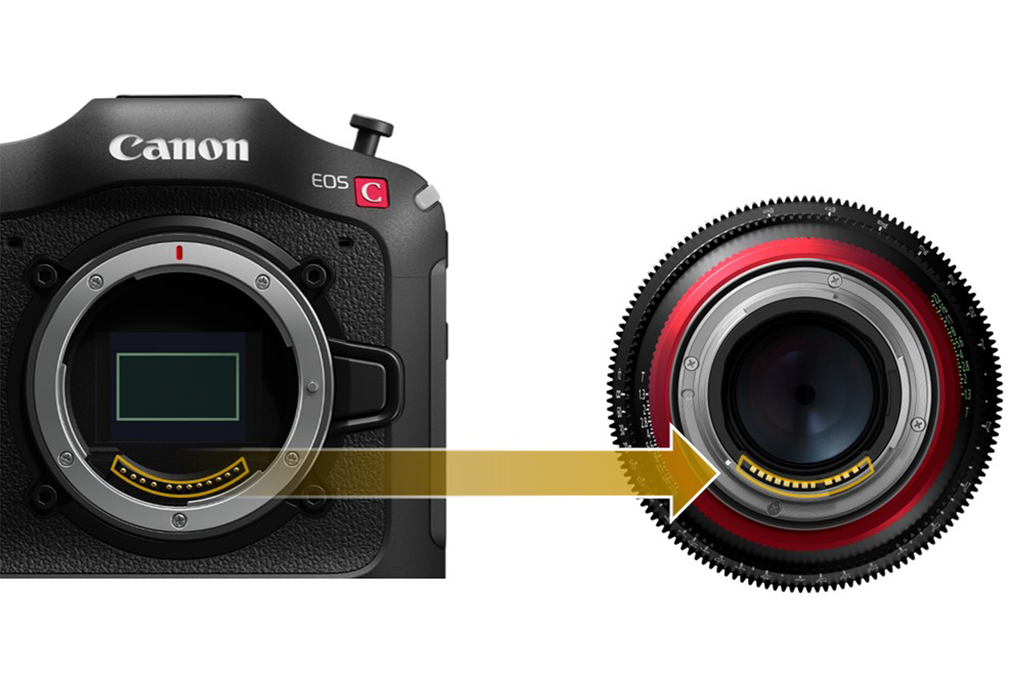 RFシネマレンズ」が誕生「PRIME Lens」シリーズ7機種を発売｜キヤノン